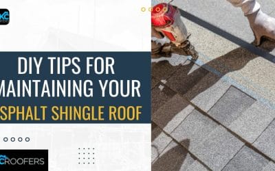 DIY Tips for Maintaining Your Asphalt Shingle Roof