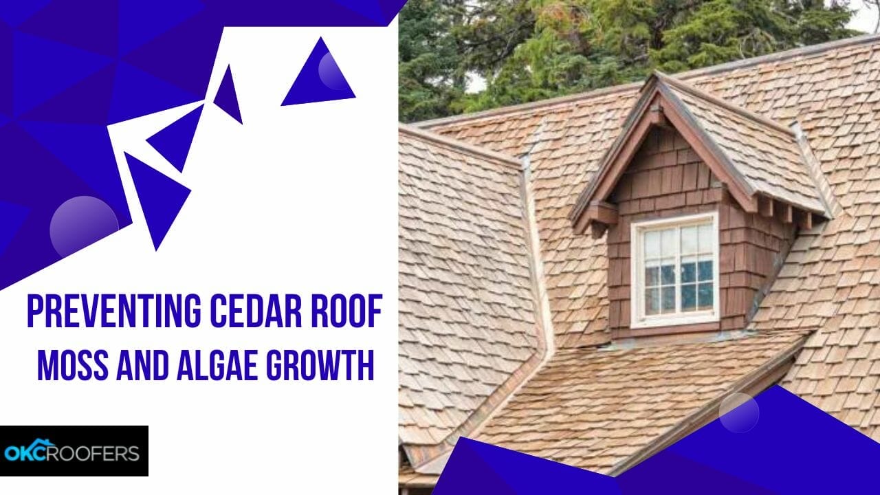 Cedar Roof