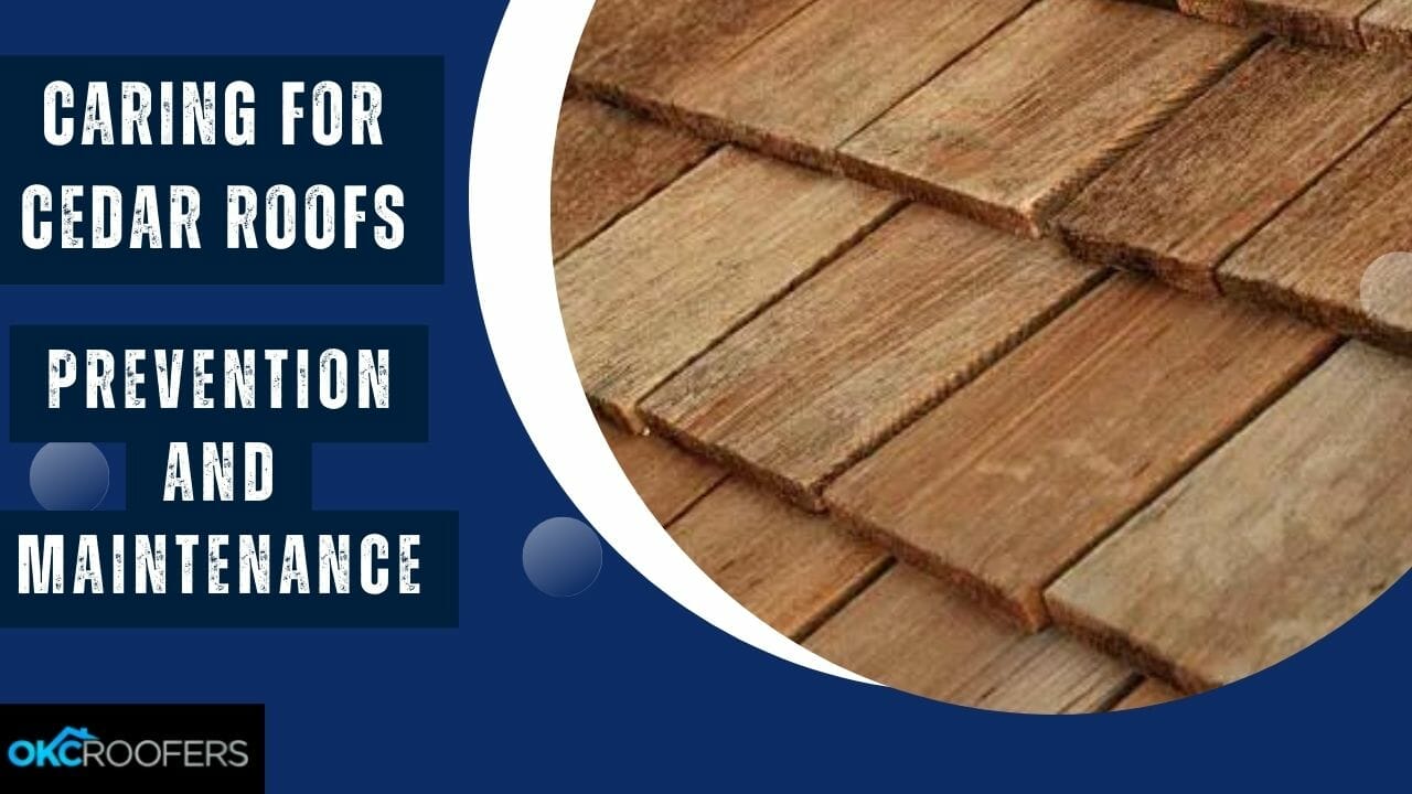 CEDAR ROOFS PREVENTION AND MAINTENANCE